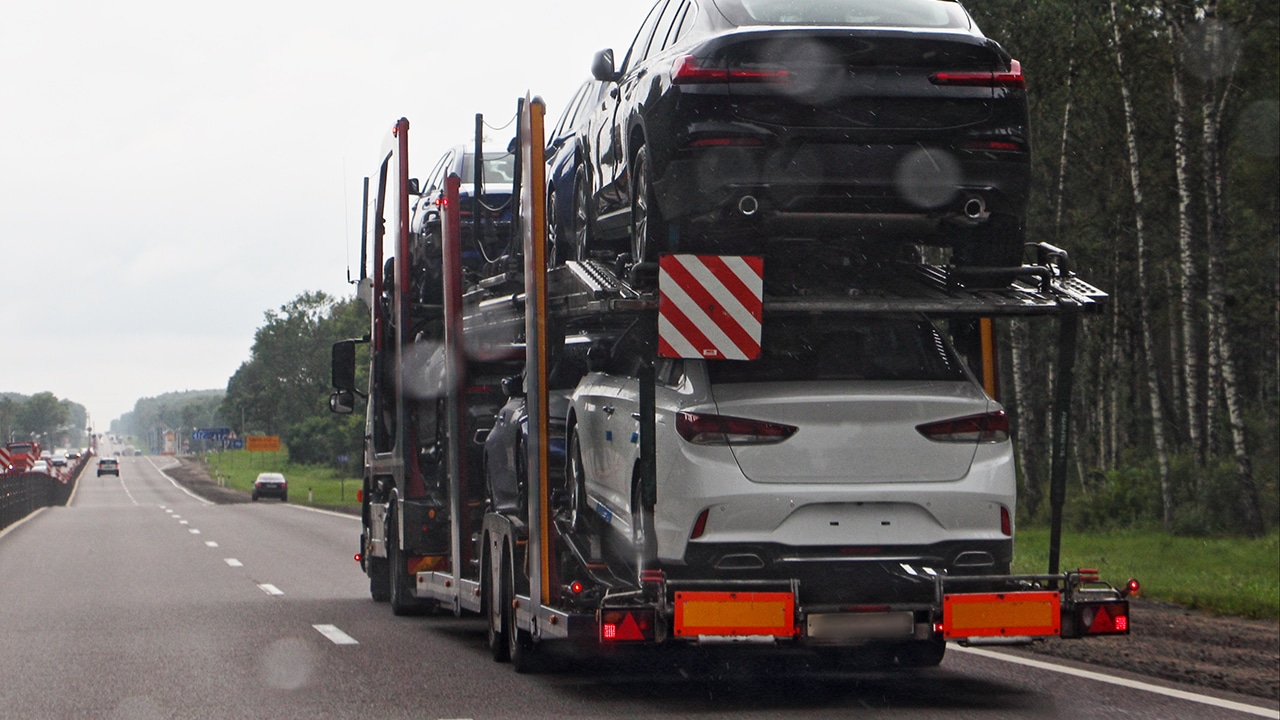 Elite Auto Shipping Reviews Cost And Services (2024)